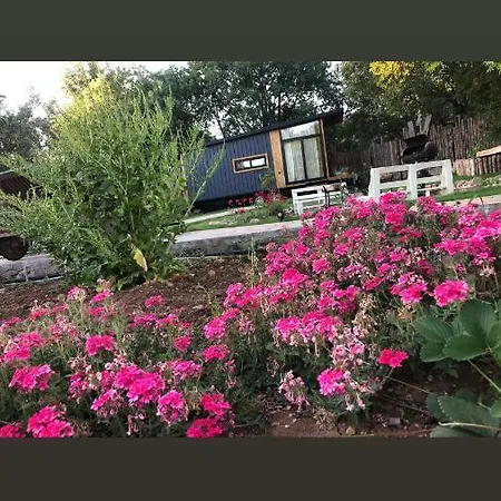 Vendégház Tiny House Kumquat 4*