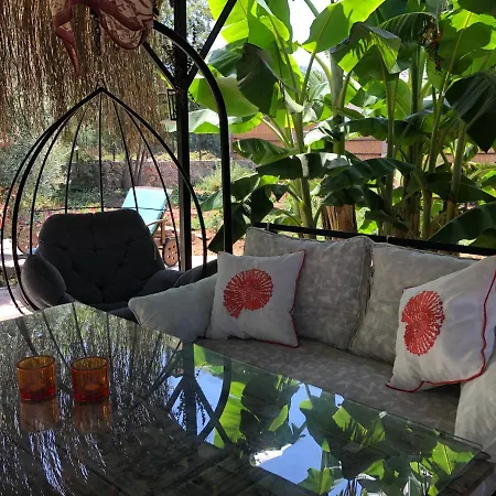 Tiny House Kumquat Pensiune