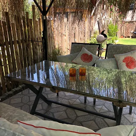 Pensionat Tiny House Kumquat