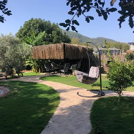 Vendégház Tiny House Kumquat 4*